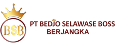 Sbs Logo
